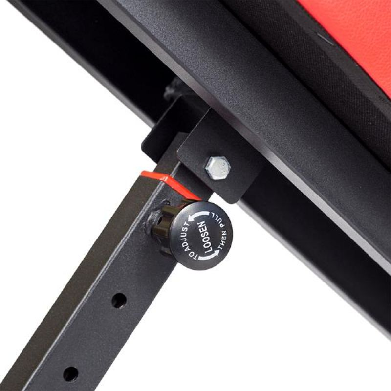 81657219