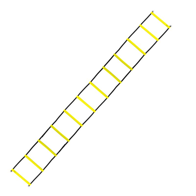 81629256