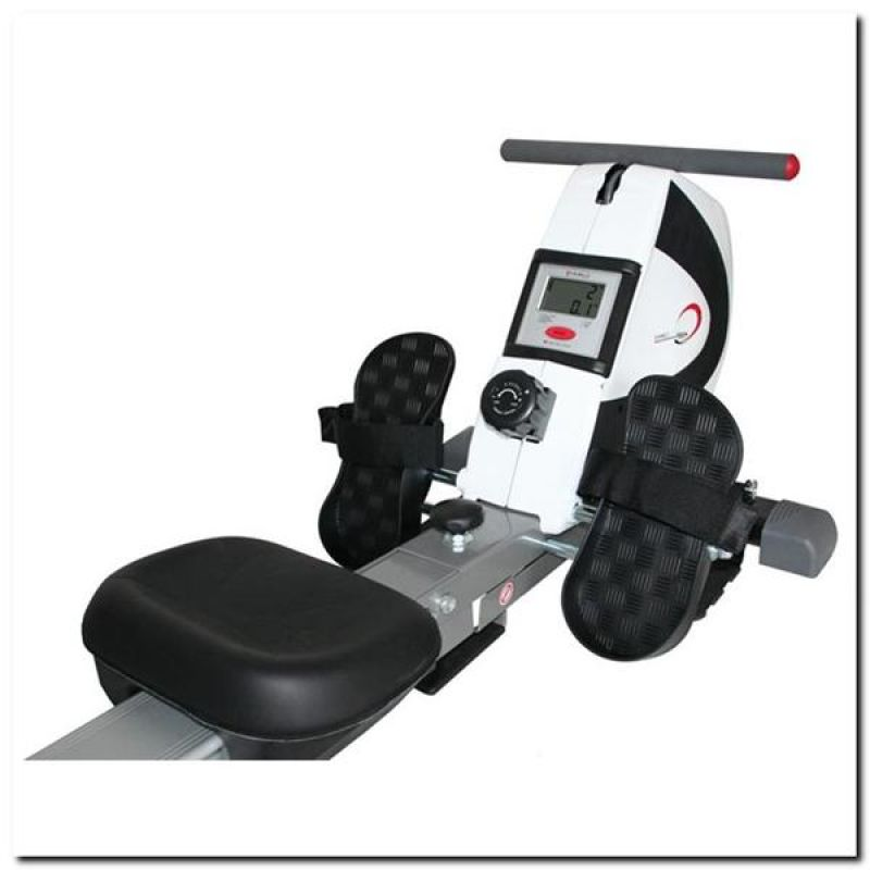 81657169